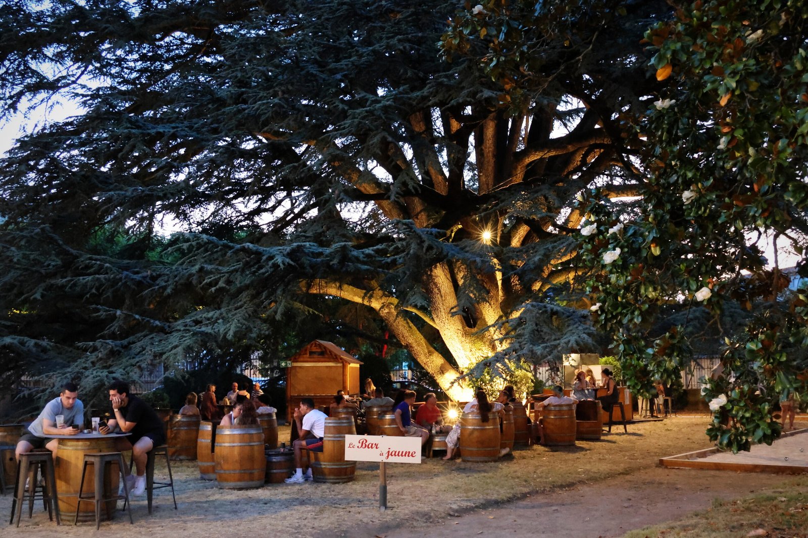 6GUINGUETTE DES CEDRES 2026-06-25 EF (12)